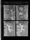Television Feature; Gazelle Hunting Dog (4 Negatives) (January 23, 1954) [Sleeve 20, Folder a, Box 3]